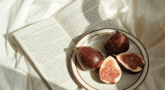 2025년 12월 스텔라 타로 메시지