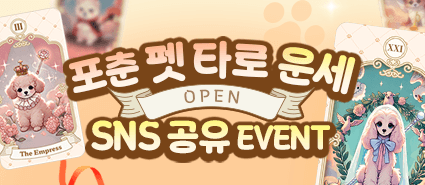 포춘 펫 타로 오픈 이벤트