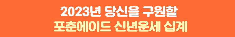 2023년 당신을 구원할 포춘에이드 신년운세 십계