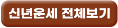 신년운세 전체보기