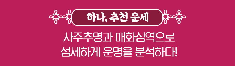 하나 추천 운세 사주추명과 매화심역으로 섬세하게 운명을 분석하다