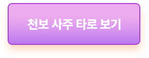 천보 사주 타로 보기