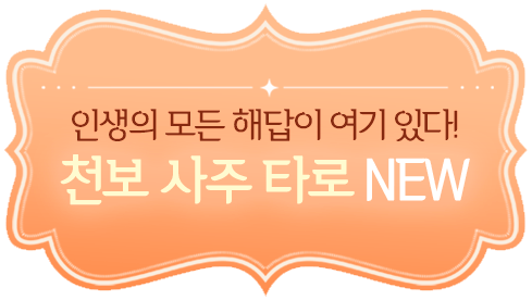 인생의 모든 해답이 여기 있다! 천보 사주 타로 NEW