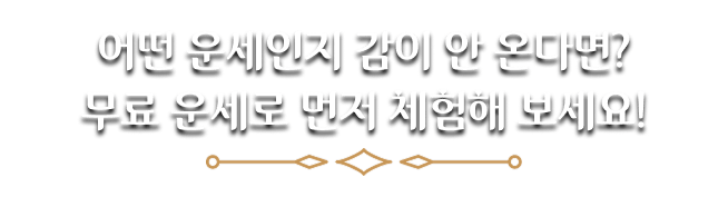 어떤 운세인지 감이 안 온다면? 무료 운세로 먼저 체험해 보세요!