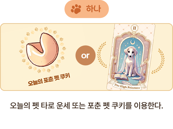 하나 오늘의 펫 타로 운세 또는 포춘 펫 쿠키를 이용한다.