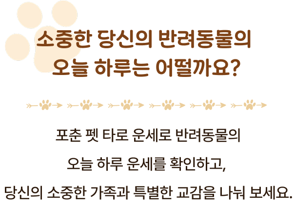소중한 당신의 반려동물의 온르 하루는 어떨까요? 포춘 펫 타로 운세로 반려동물의 오늘 하루 운세를 확인하고, 당신의 소중한 가족과 특별한 교감을 나눠 보세요.