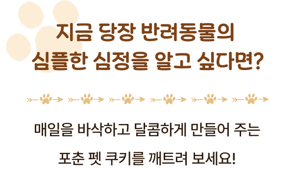 지금 당장 반려동물의 심플한 심정을 알고 싶다면? 매일을 바삭하고 달콤하게 만들어 주는 포춘 펫 쿠키를 깨트려 보세요!