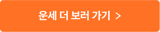 운세 더 보러 가기