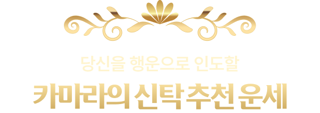 당신을 행운을 인도할 카마라의 신탁 추천 운세