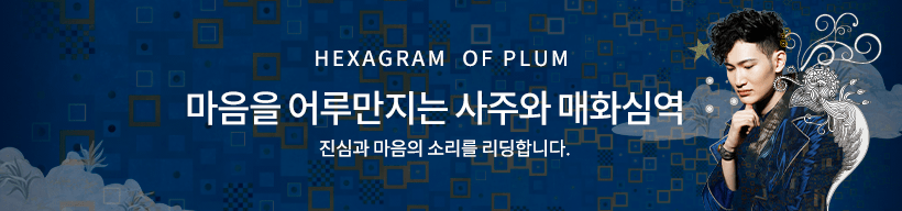 HEXAGRAM OF PLUM 마음을 어루만지는 사주와 매화심역