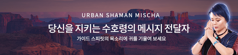 샤먼 미샤