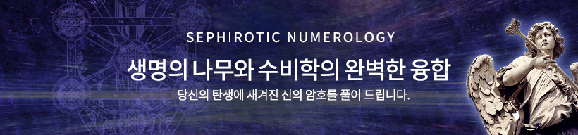 세피로트 수비술