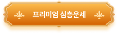 프리미엄 심층운세