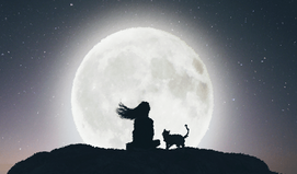 그 사람이 싫어하는 여자, 당신에 대한 마음