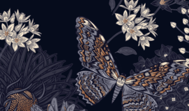 샤먼의 눈으로 보다! 짝사랑, 어느 쪽으로 기울까?