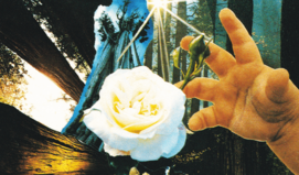 결과론으로 밝힙니다! 두 사람은 맺어질 운명일까