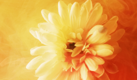 당신의 마지막 연인이자 결혼 상대는 이 사람!