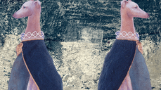 사랑은 부메랑! 다시 그에게 사랑 받으려면?