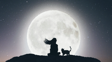 그 사람이 싫어하는 여자, 당신에 대한 마음