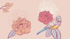 르노르망으로 보는 11월 만남운