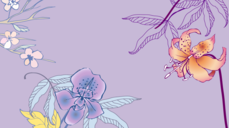 르노르망으로 보는 12월 만남운