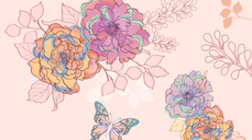 르노르망으로 보는 1월 만남운