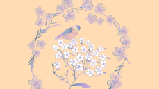 르노르망으로 보는 2월 만남운