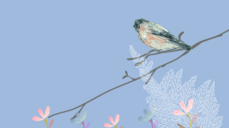 르노르망으로 보는 3월 만남운