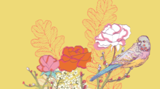 르노르망으로 보는 4월 만남운