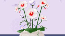 이제 눈치채자! 당신을 좋아하는 사람, 이미 알고 있다?