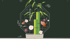 별의 사주로 보는 얄짤 없는 짝사랑의 마지막 순간