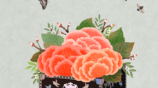 짝사랑 상대, 그 애욕을 보고 느끼다! 14가지 본성