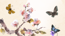 오늘만 할인 생각하고 울고 기다리고... 이 사랑, 그래도 이루어질까?