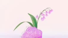 간절한 짝사랑이 이루어지게 해주는 23장의 특별 예언