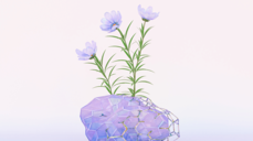 몸도 마음도 맺어지는, 두 사람이 깊이 연결되는 날