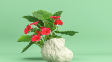 하나로만 볼 수 없는 상대의 복잡한 마음 16항 풀이