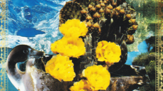 사랑이 흘러넘칠 때, 눈물로 쓰는 인연의 모든 챕터