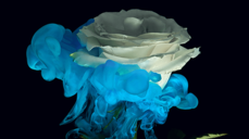 불안이 끝이 없는 일에 대한 고민, 이직이 답일까?