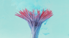 눈앞에 닥칠 운명! 나한테 도대체 무슨 일이?!