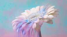 짝사랑 상대의 시선과 태도, 그 이면에 숨겨진 의도