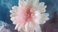 도대체 무슨 생각이야? 표정에 드러내지 않는 마음