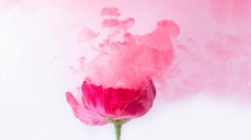 당신은 이미 알고 있다! 지금 당신을 좋아하는 사람