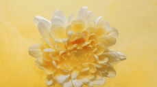 괴로운 마음 탈출 프로젝트! 언젠가 날 돌아봐 줄까?