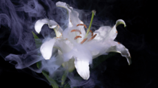 기적을 일으키는 감정! 당신의 인생, 무슨 일이 일어날까?