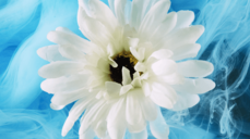 믿어도 될까? 좋아해도 될까? 그의 거짓없는 속마음 투시