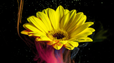 당신의 사랑에 숨겨진 운명적 인연, 있다? 없다?