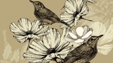 인생에서 중요한 것은? 수호령이 단언하는 운명