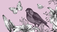 영혼은 알고 있다! 당신에게 끌리는 사람