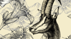 샤먼이 전하는 재회! 다시 한번 강하게 맺어지려면?