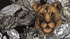 무섭지만 알고 싶은 짝사랑 비밀. 날 원하게 될까?